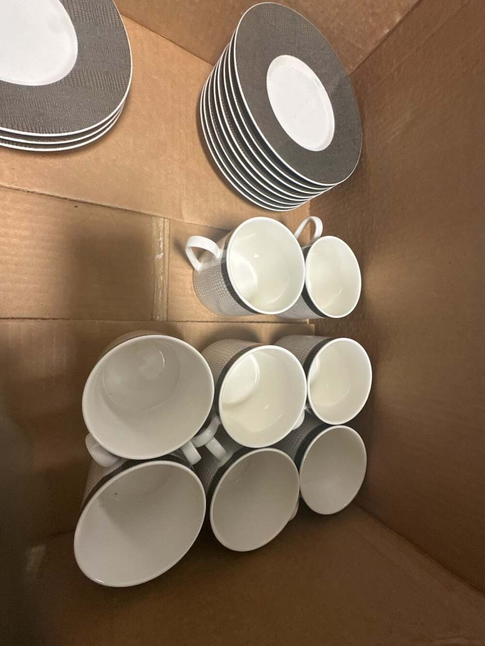 Mikasa Wild Croc 3" Tea Cup and 6" Saucer Set